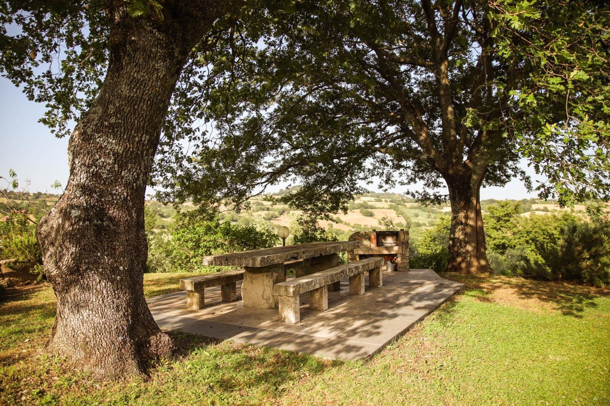 Bio Agriturismo Poggio Aione 사투르니아 외부 사진