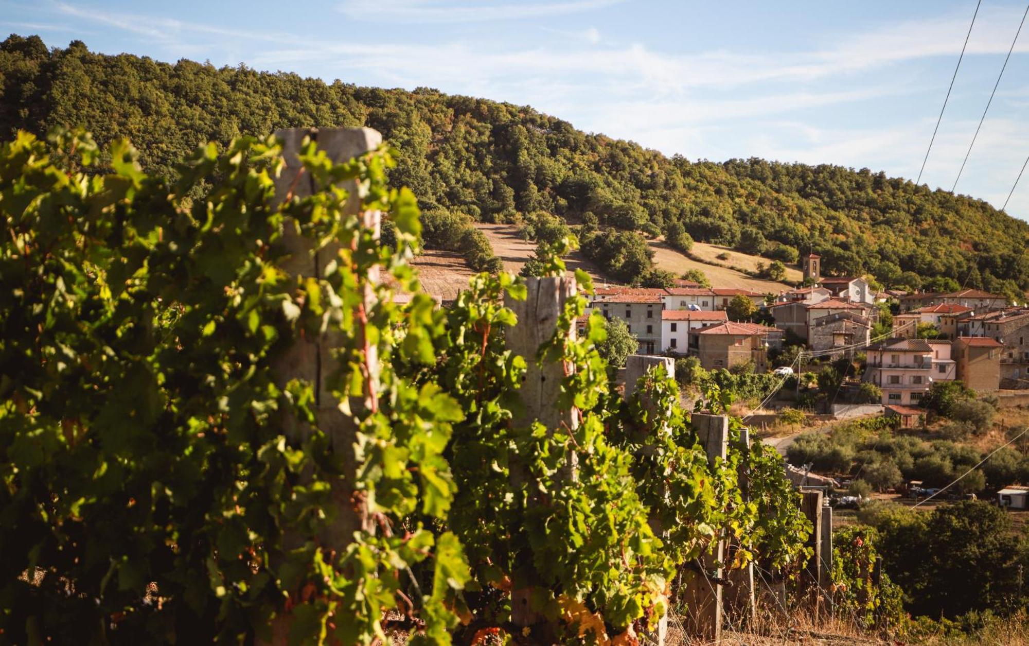 Bio Agriturismo Poggio Aione 사투르니아 외부 사진