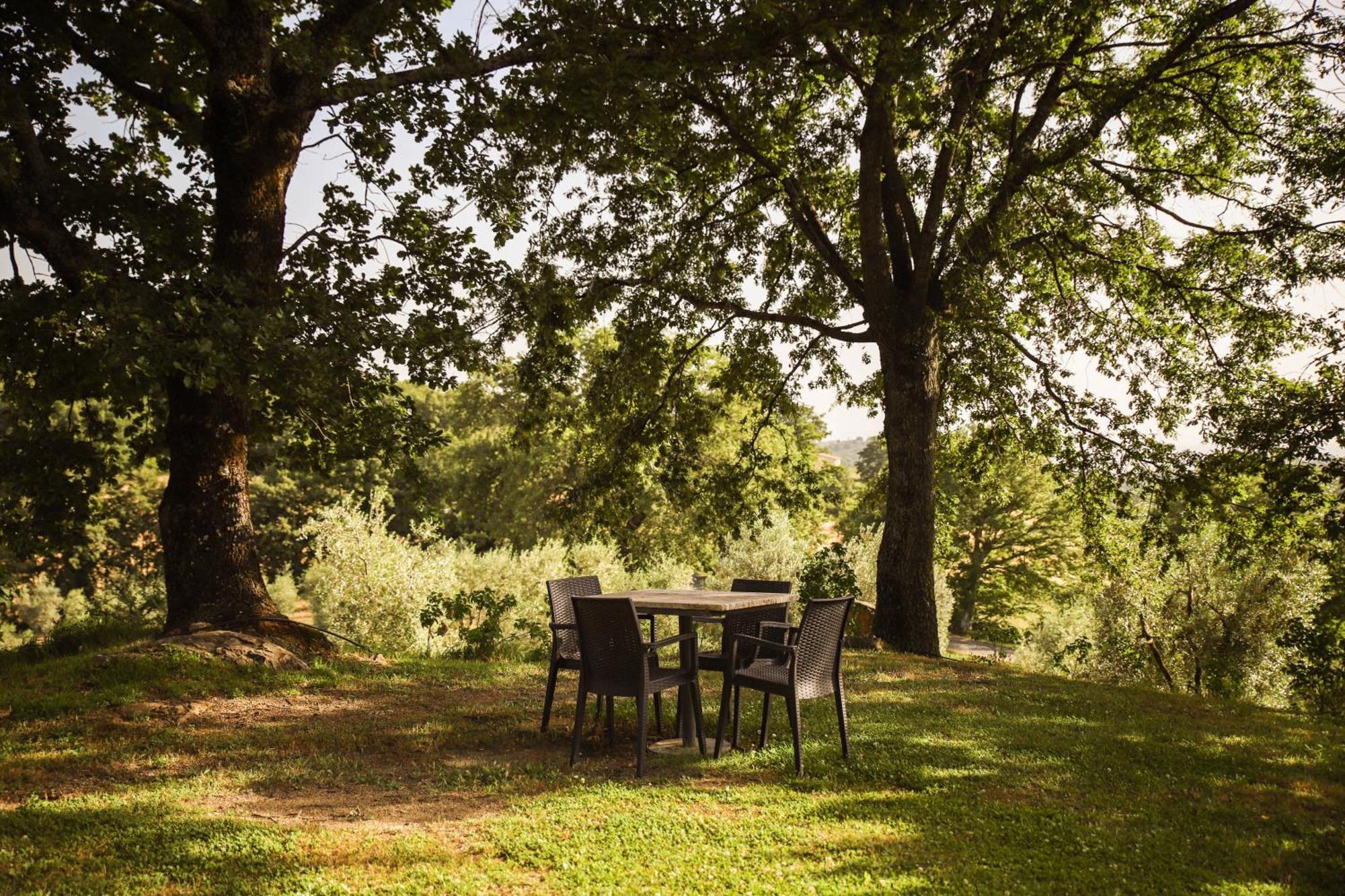 Bio Agriturismo Poggio Aione 사투르니아 외부 사진